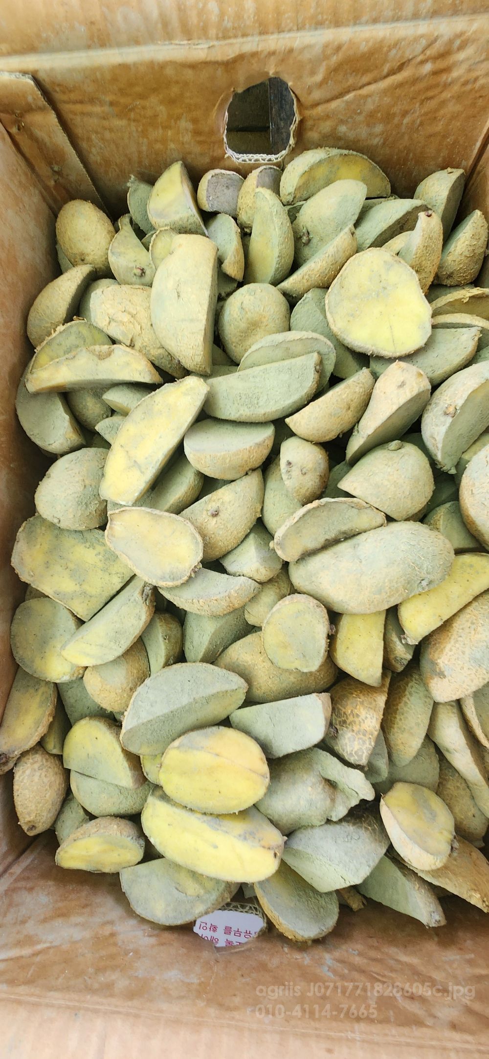  보급종조생감자 보급종조생감자 