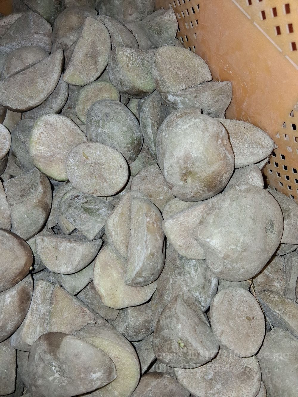  씨감자 추백 감자씨 수량 6박스