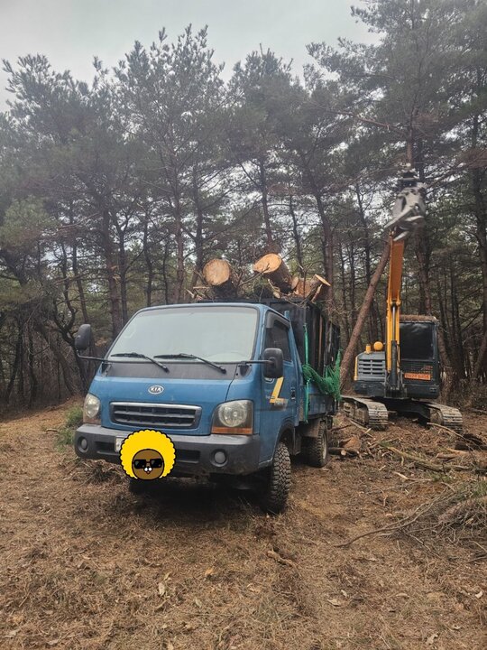 기아1톤4륜덤프 1톤4륜덤프 1톤4륜덤프