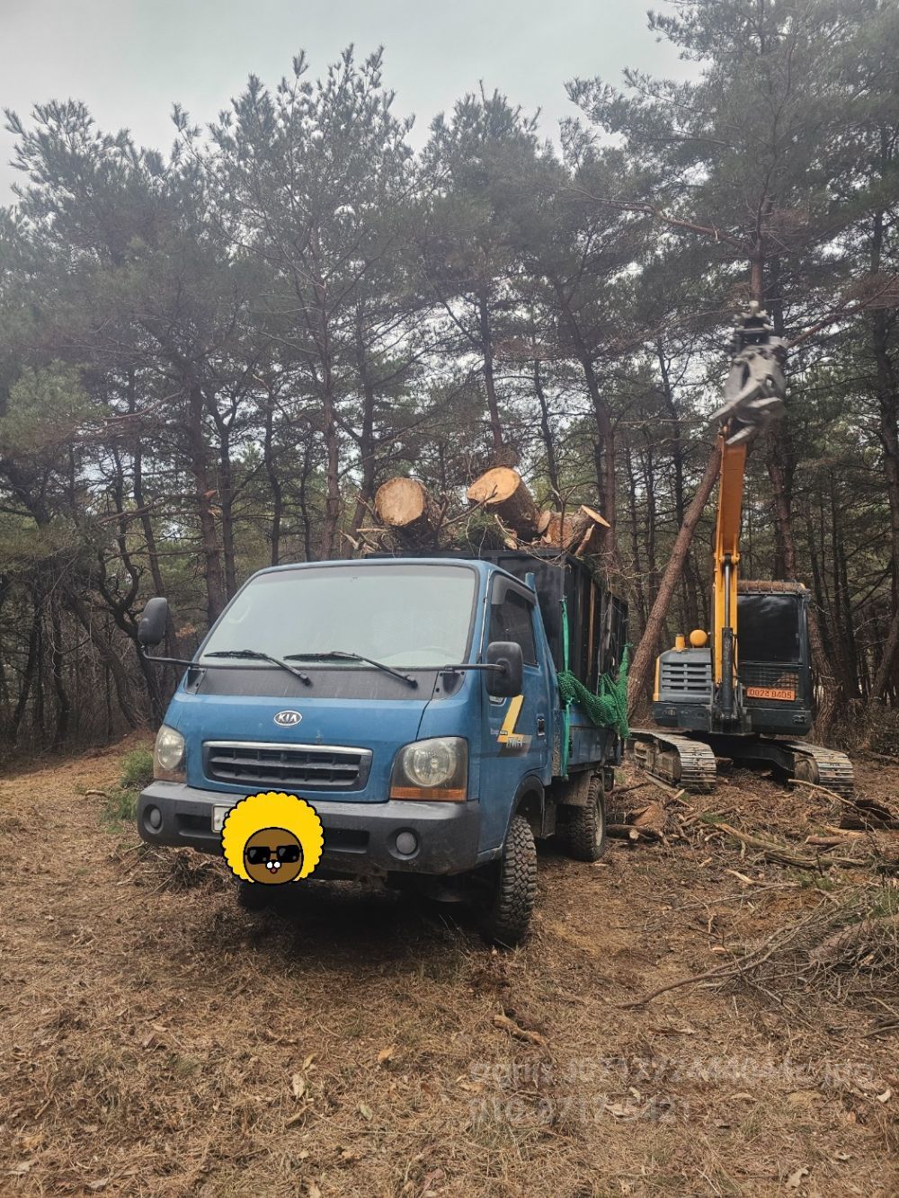 기아1톤4륜덤프 1톤4륜덤프 1톤4륜덤프