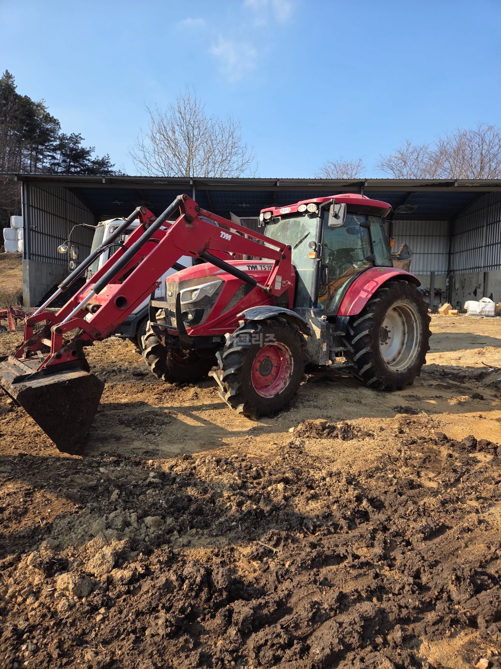 TYM 트랙터 TS125 (129마력)