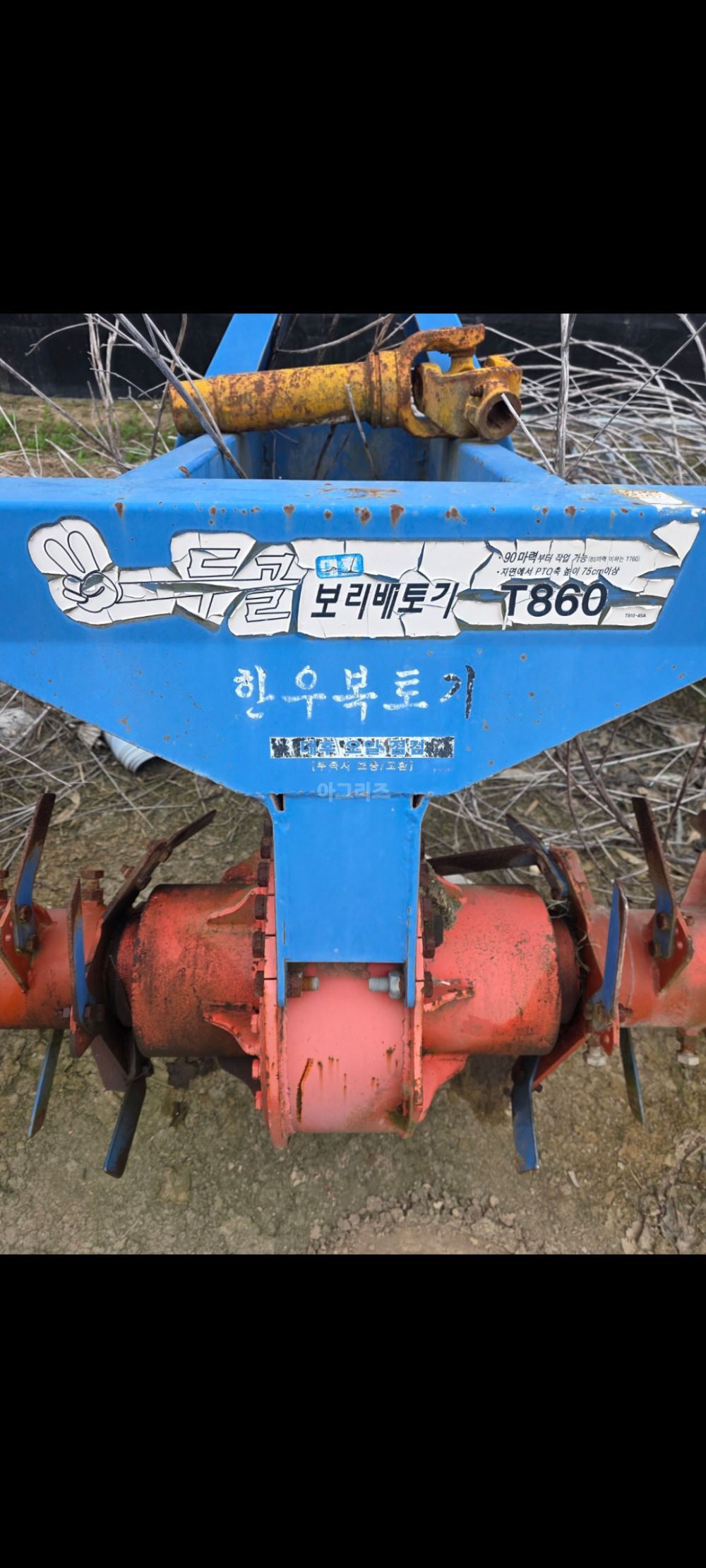 보리베토기 보리베토기 보리베토기 뒤우측면